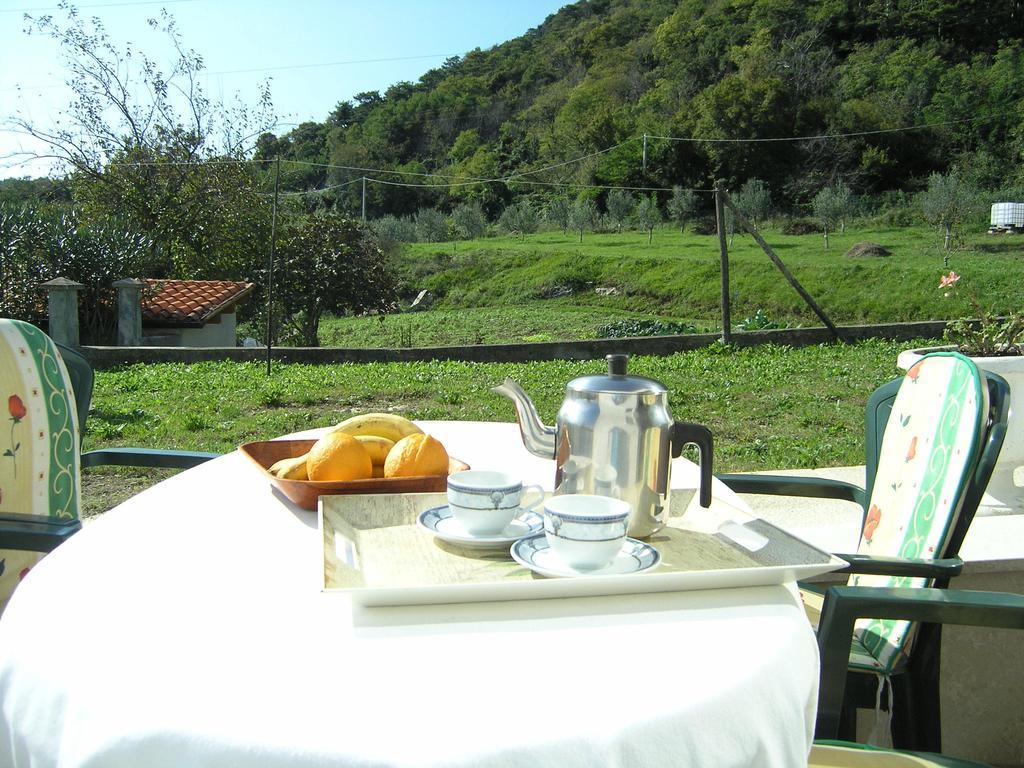 Apartments Rajkovic Labin  Room photo